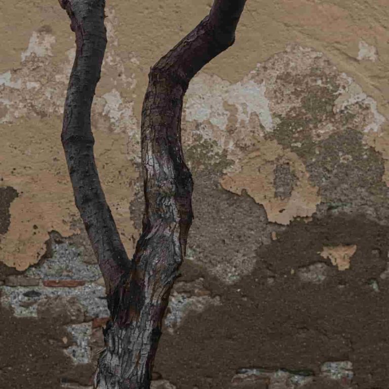 Yukun Chen Art Capital Paris fotografia 13.20